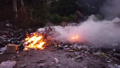 waste being burnt on a remote andaman island because there is no tax revenue to pay for its removal even though tourism is being encouraged