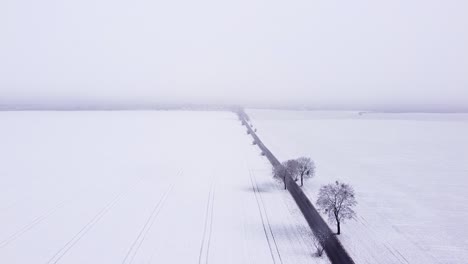 dreamy snow-covered fields crossed by a black straight road with trees on its sides