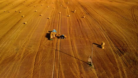 an aerial view of a large industrial golden field with a tractor collecting hay bales in 4k