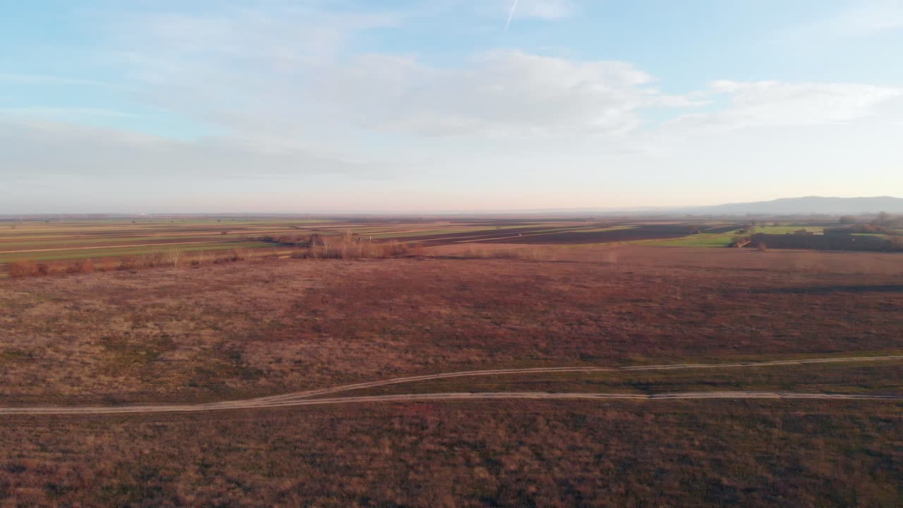 Relief on the banks of the river Danube, dry vegetation due to the great cold that burned the plants.