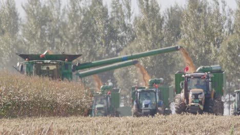 multiple combine harvesters harvesting massive corn field under beautiful sunlight