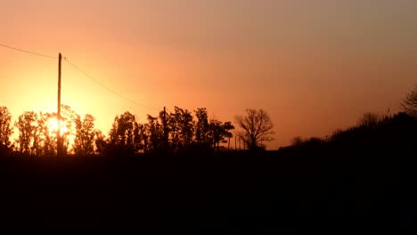 Die-Sonne-Geht-In-Einer-Orangefarbenen-Explosion-Hinter-Einem-Fernen-Hain-Unter