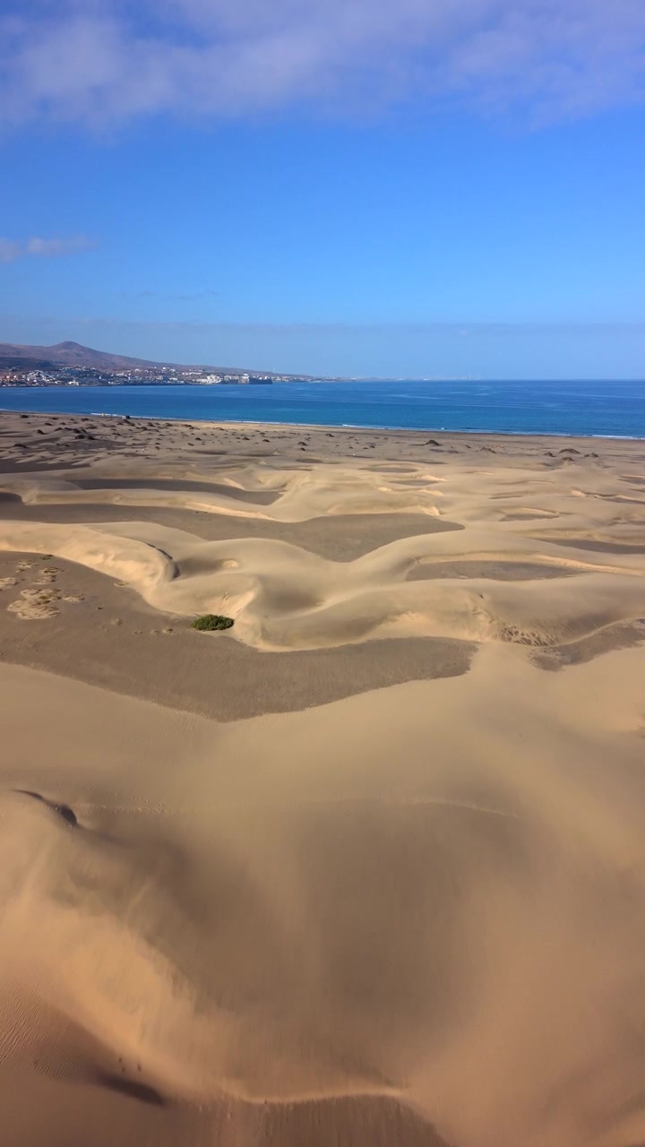 Vertical aerial drone shot flying over the expansive, wind-sculpted sand dunes of Maspalomas in Gran Canaria, Canary Islands. Moving towards the blue waters of the Atlantic Ocean.