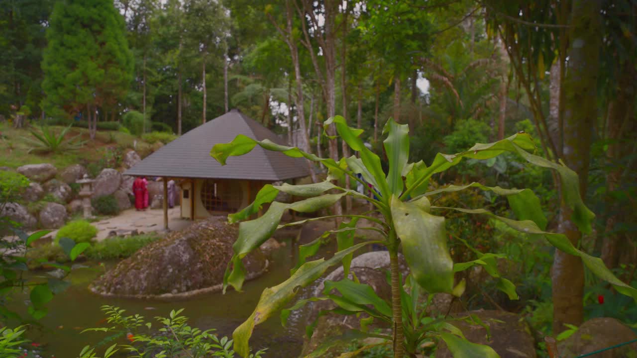 Cinematic shot capturing beautiful Japanese garden in Malaysia. inside shot.