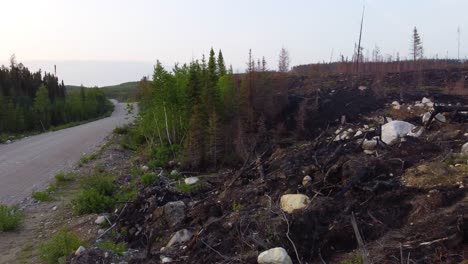 edge of an area of forest destroyed by a wildfire near lebel-sur-quevillon in quebec, wildfire aftermath debris, canada