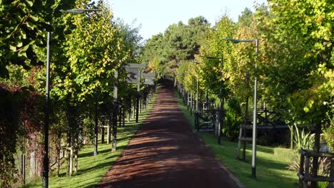 scenic path through a park