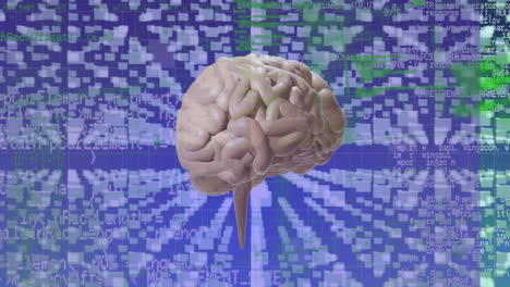 animación de texto ai con cerebro y procesamiento de datos en archivos de computadora