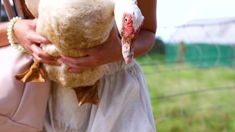 a woman cradles a duck outdoors on a sunny farm, showcasing a serene and natural setting
