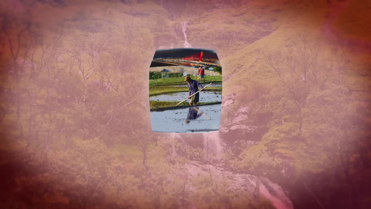 Nature and Urban Landscapes Collage