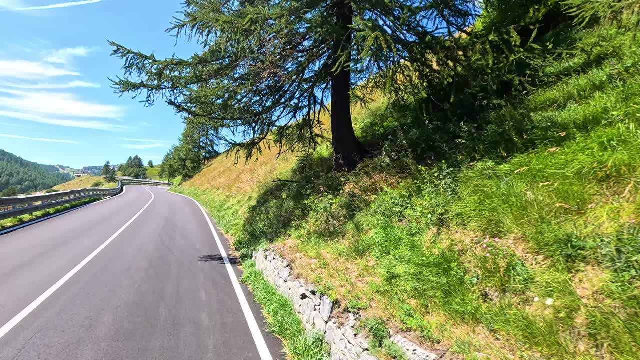 울창하고 휘어지는 산길을 가로질러 운전