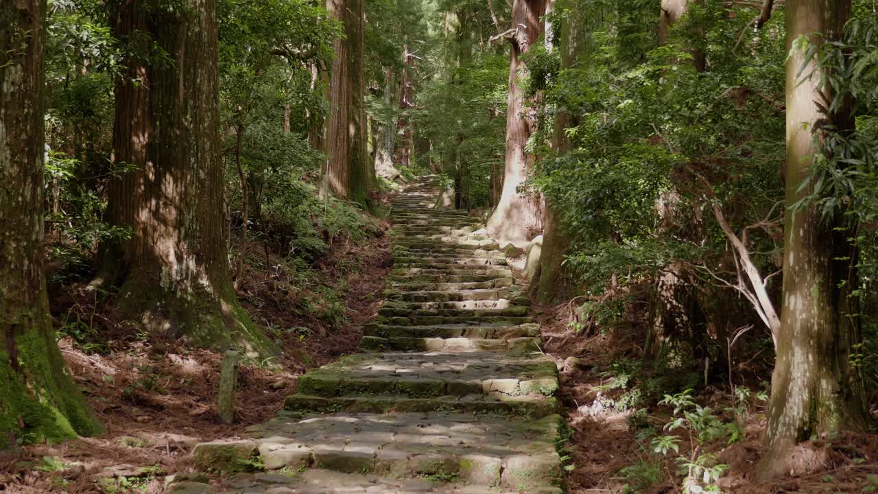 escalera de diamante-zaka en el sendero de peregrinación de kumano kodo en un día soleado con una cámara de deslizamiento suave a lo largo del camino