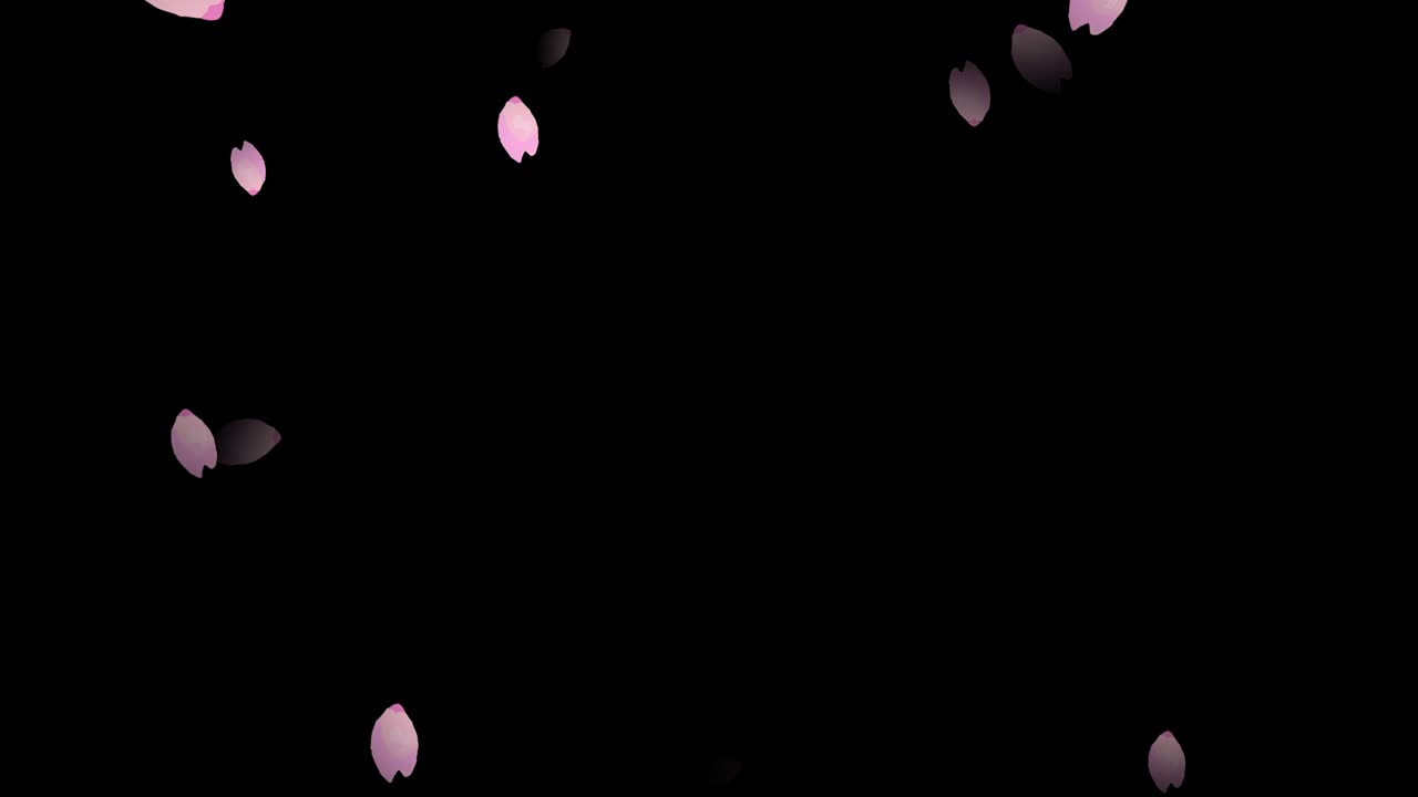 밤에 떨어지는 수채화 체리 꽃 잎자루, 루프