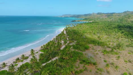 drone panorama view showing green island with sandy beach and caribbean sea during sunlight - tropical landscape flight over dominican republic island