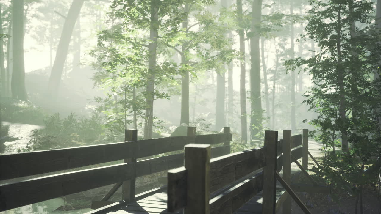 Serene forest path with wooden fence surrounded by misty trees
