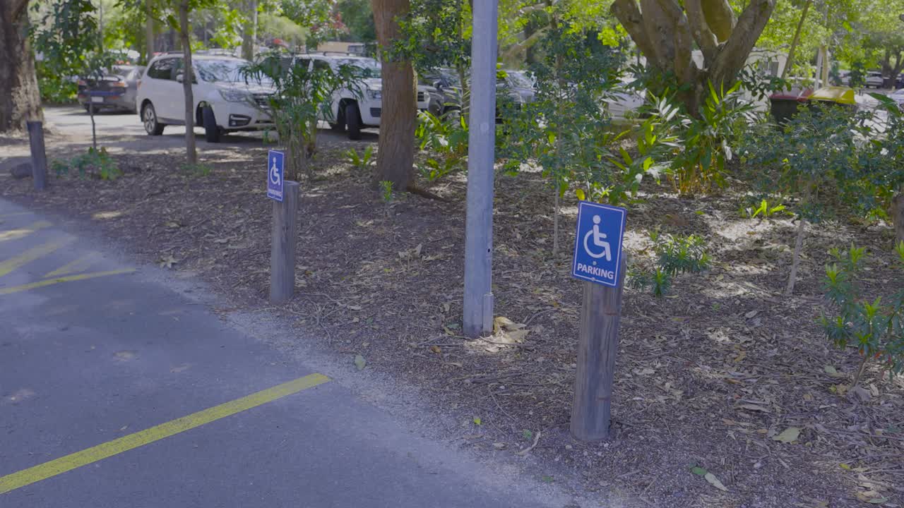 espacio de estacionamiento accesible cerca de vegetación exuberante