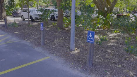 Accessible parking space near lush greenery