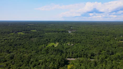 Drone-circling-over-a-large-forest-in-Ottawa,-Ontario