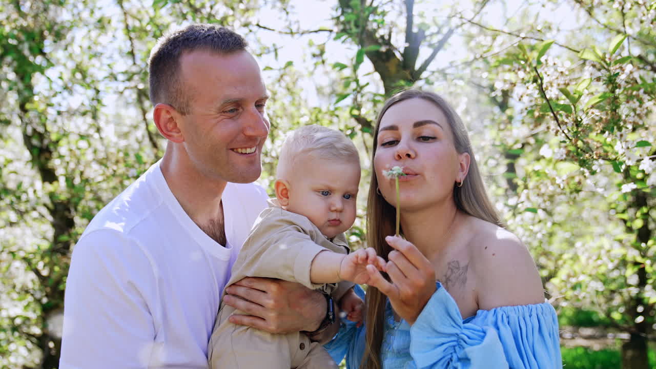 Lovely Caucasian family with a little baby boy. Cute blond kid tries to get a dandelion in mom's hands which she blows on. Family portrait in the spring garden.
