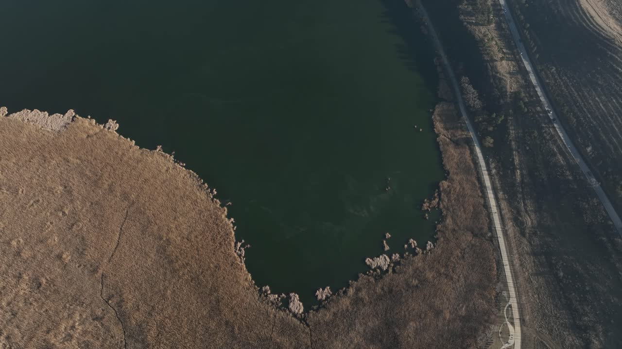 drone shot of a calm lake with a golden reed-covered shoreline. A narrow road runs parallel to the lake, highlighting the contrast between water and land
