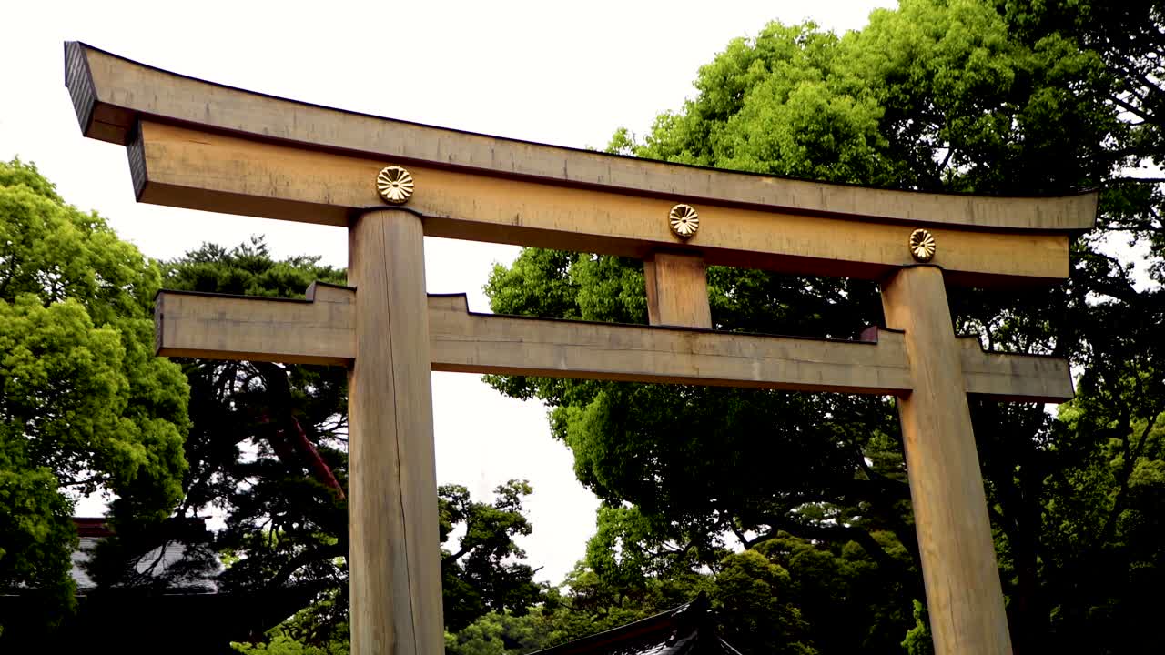 도쿄 최고의 전망