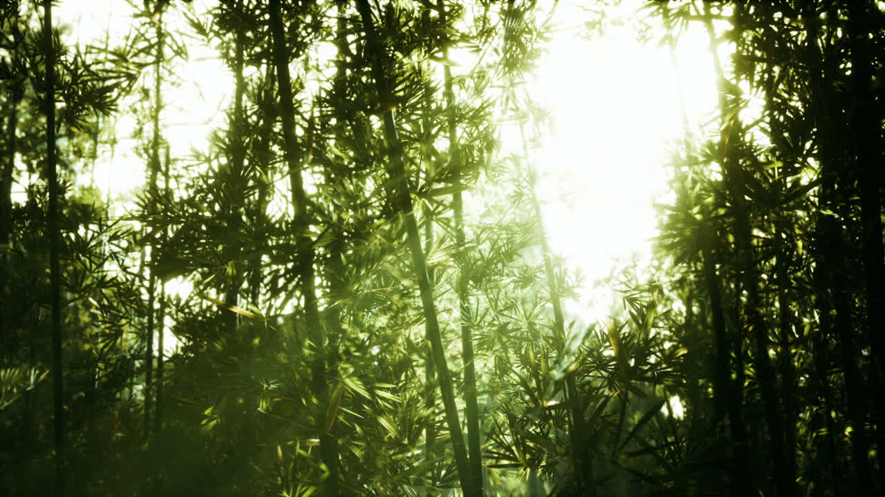 hojas de bambú en el humo