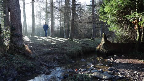 Man-walking-through-the-forest-at-sunrise