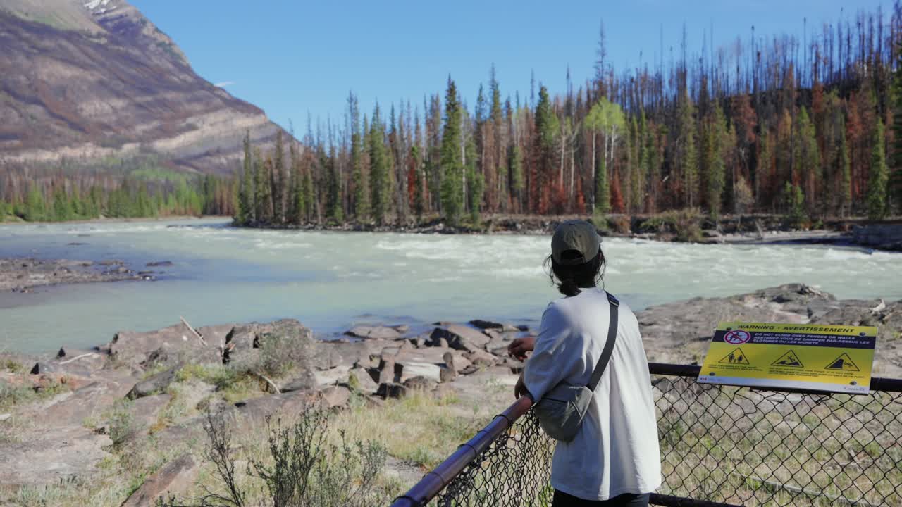 Donna che osserva il fiume Athabasca e la foresta di pini bruciata nel Parco Nazionale di Jasper, Canada