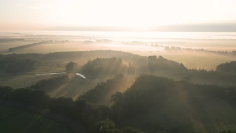 el amanecer sobre campos y bosques neblinosos