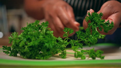 gathering clean, fresh parsley in one hand so it can be chopped to add to a homemade recipe - slow motion