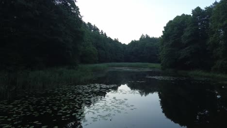 „Die-Drohne-Schwebt-Anmutig-über-Dem-Im-Morgengrauen-Erleuchteten-See-Europas-Und-Enthüllt-Die-Ruhige-Lagune,-Den-üppigen-Wald-Und-Die-Faszinierende-Flora-–-Ein-Malerischer-Flug-Durch-Die-Morgenleinwand-Der-Natur