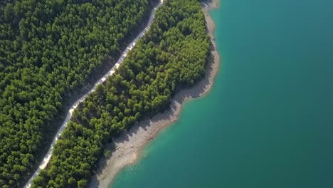 Aerial-forest-green-trees-lake