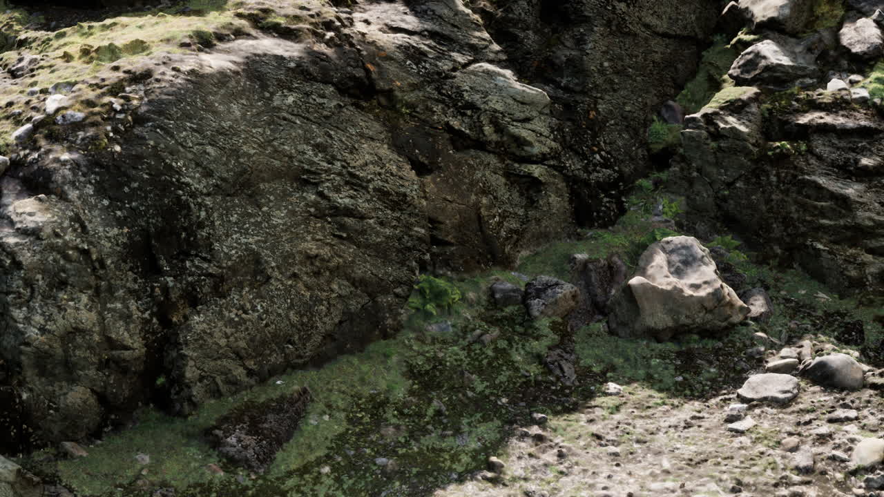 바위 돌 형성이 가까이 있습니다.