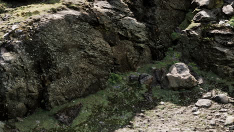 cerca de la formación de piedras rocosas