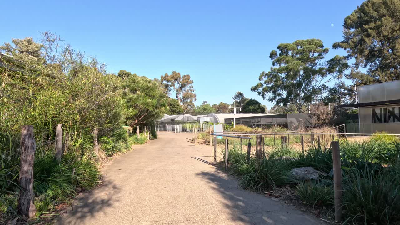 동물원 길 을 걸어다니는 것