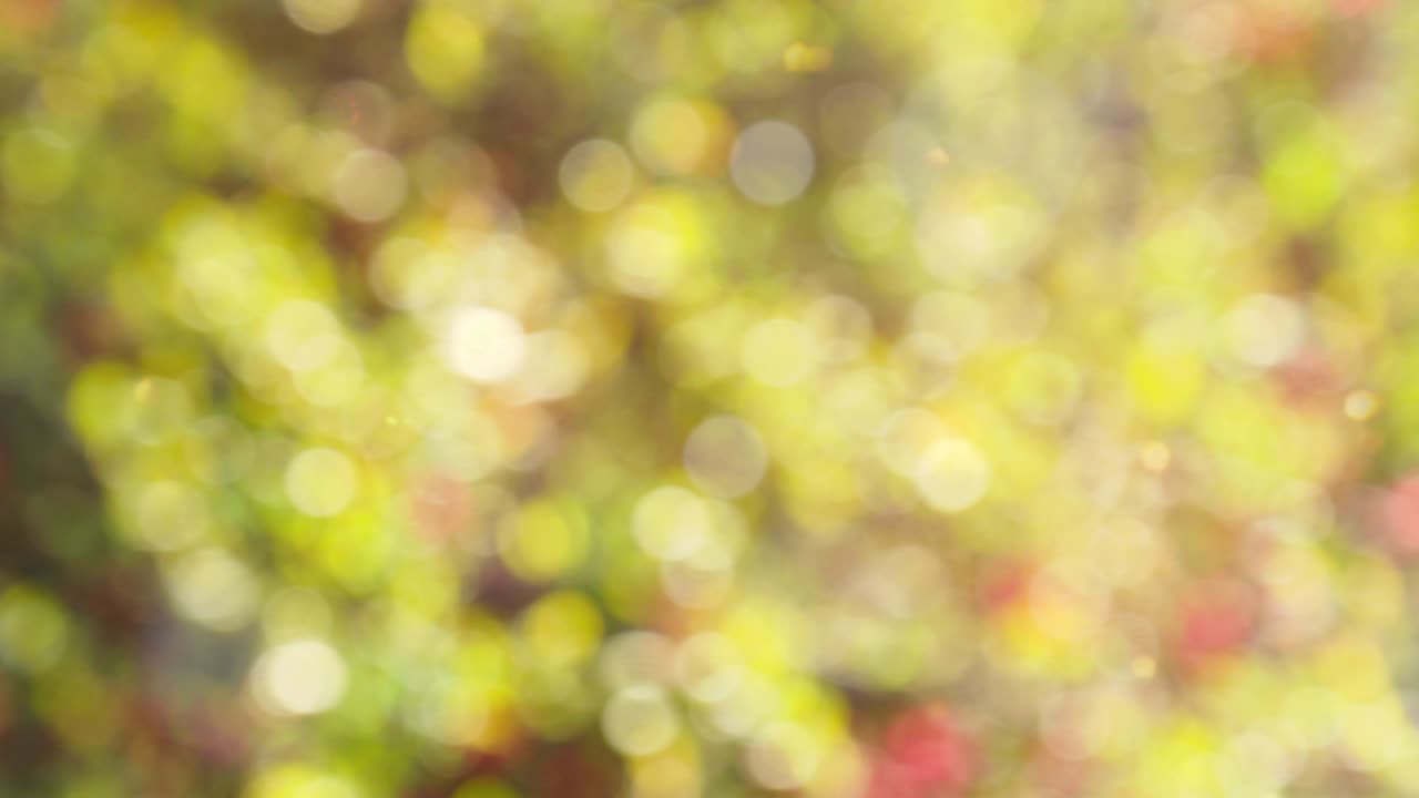 Abstract autumn background with bokeh