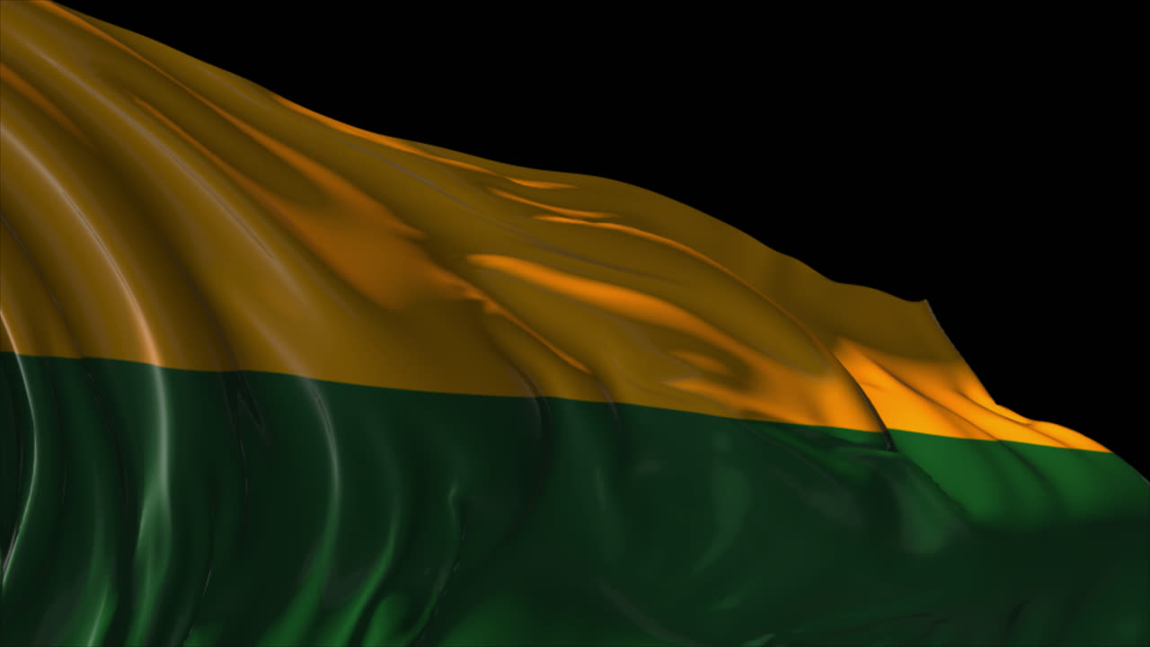 bandera de lituania que se agita