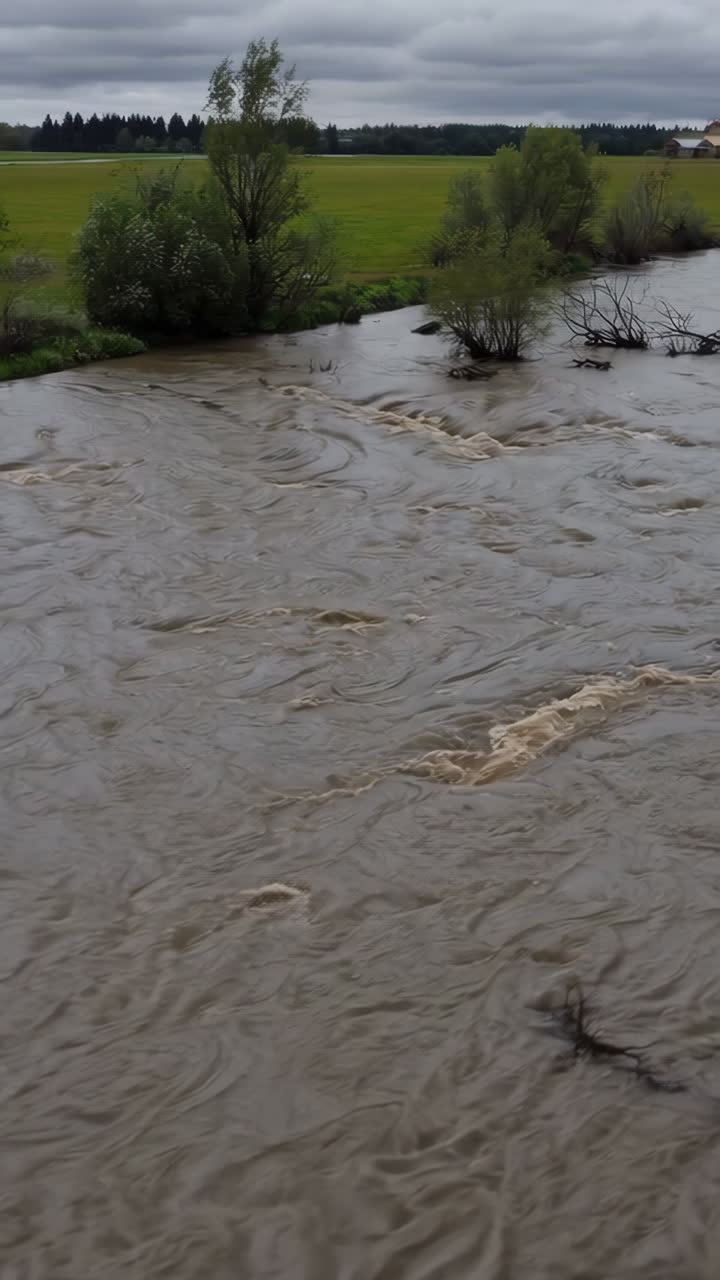 Muddy River Flowing Through a Green Landscape Under an Overcast Sky
