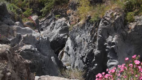 Sobre-La-Planta-De-Flor-Rosa,-El-Agua-Corre-Entre-Las-Piedras-En-El-Lugar-De-Vacaciones-De-Taormina