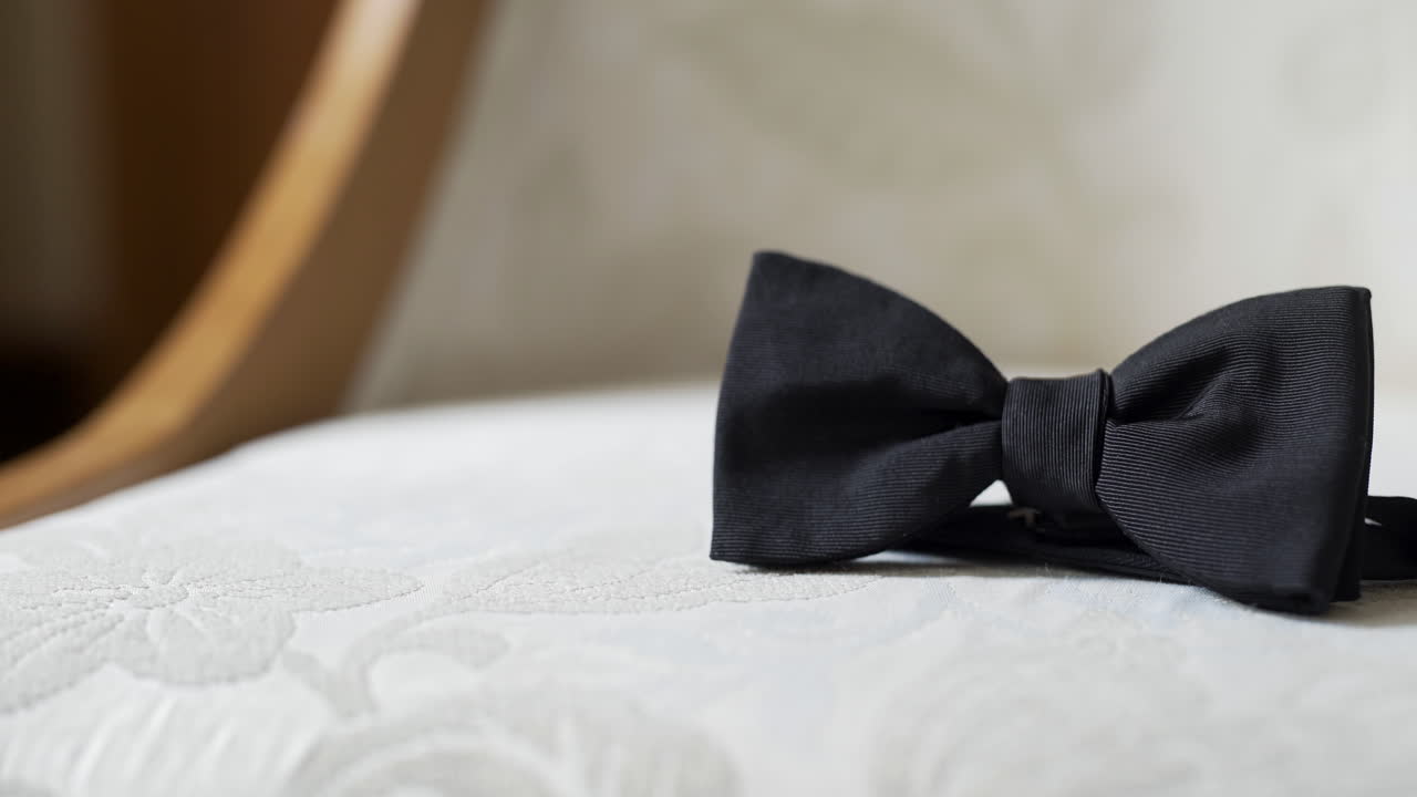 Elegante papillon nero appoggiato su una superficie bianca