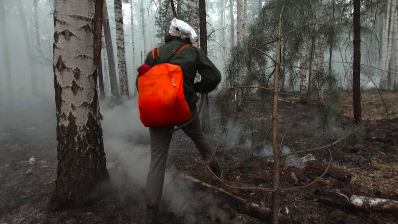 Brandmand slukker glødende jord i en afbrændt skov