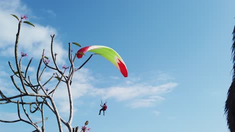 libertad parapente deporte adicto a la adrenalina volando por los cielos y clif durante un día soleado con vista a la playa para viajar con paracaídas rojo