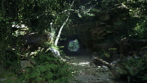 mysterious jungle tunnel