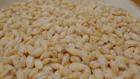 arborio rice
