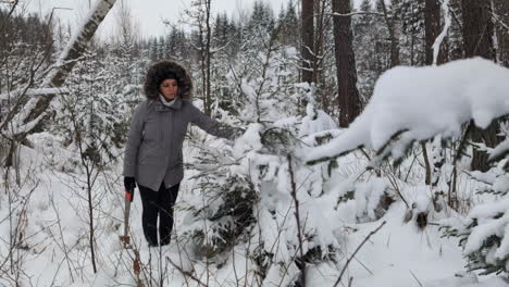 Frau-Fand-Weihnachtsbaum-Für-Zuhause-Im-Verschneiten-Wald-Und-Schüttelt-Schnee-Ab