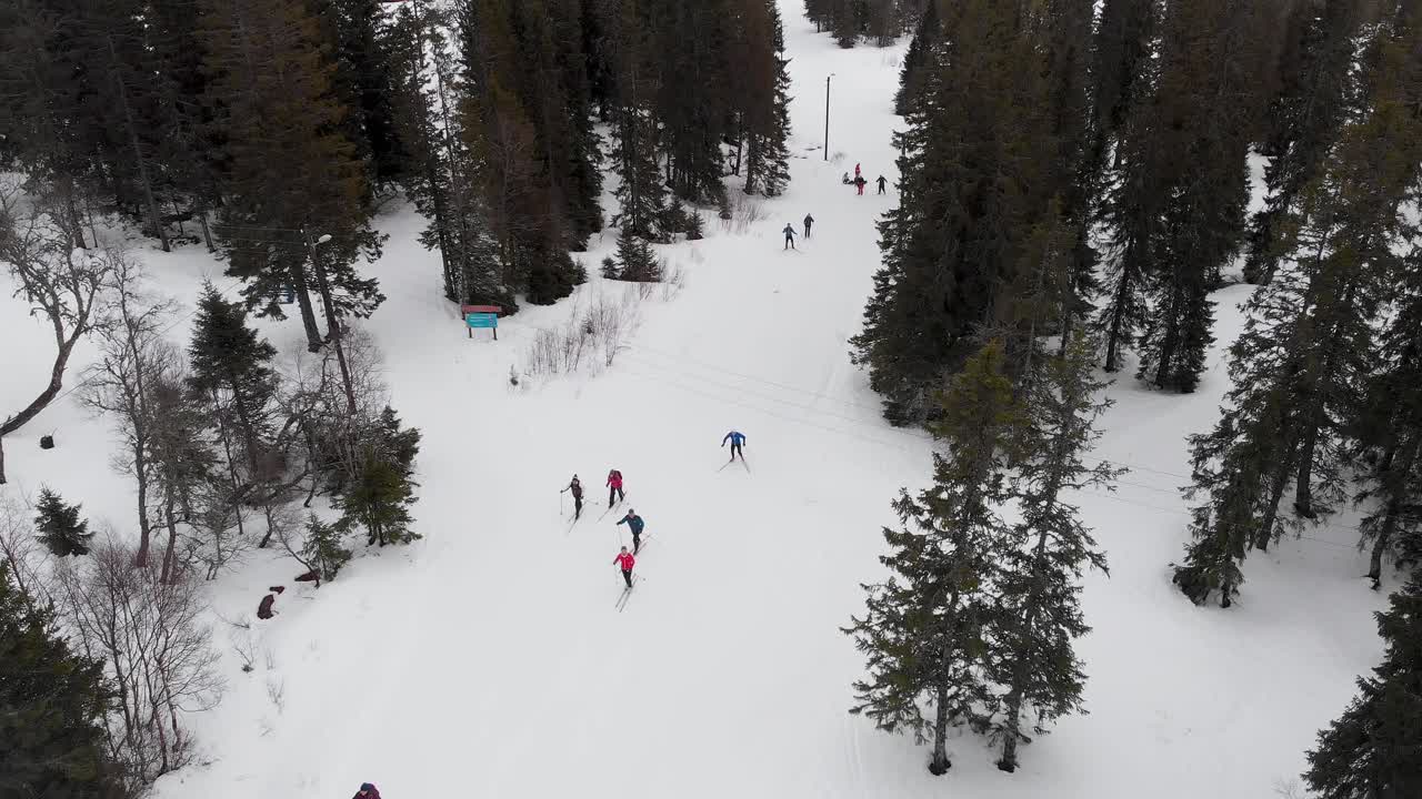 Cross-country skiers skiing in Nordic snowy winter forest landscape, aerial view