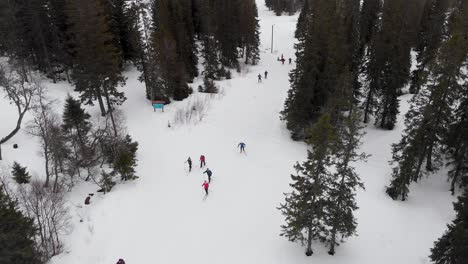 cross-country skiers skiing in nordic snowy winter forest landscape, aerial view