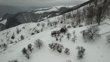 Cabaña-Aislada-En-Las-Montañas-Nevadas-De-Cindrel,-Con-árboles-Estériles-Y-Colinas-Onduladas,-Bajo-Cielos-Nublados,-Toma-Aérea