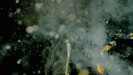 una flor ahumada explota en cámara súper lenta
