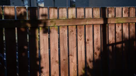 silhouette of birds flying to a bird feeder on a wooden fence