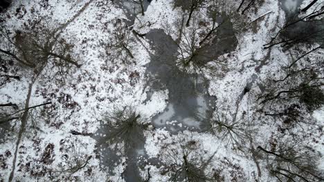 Forest-and-snow-covered-frozen-bare-trees-and-ponds-aerial-rising-overhead-POV-4k